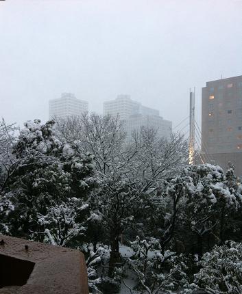 雪2013-2.JPG